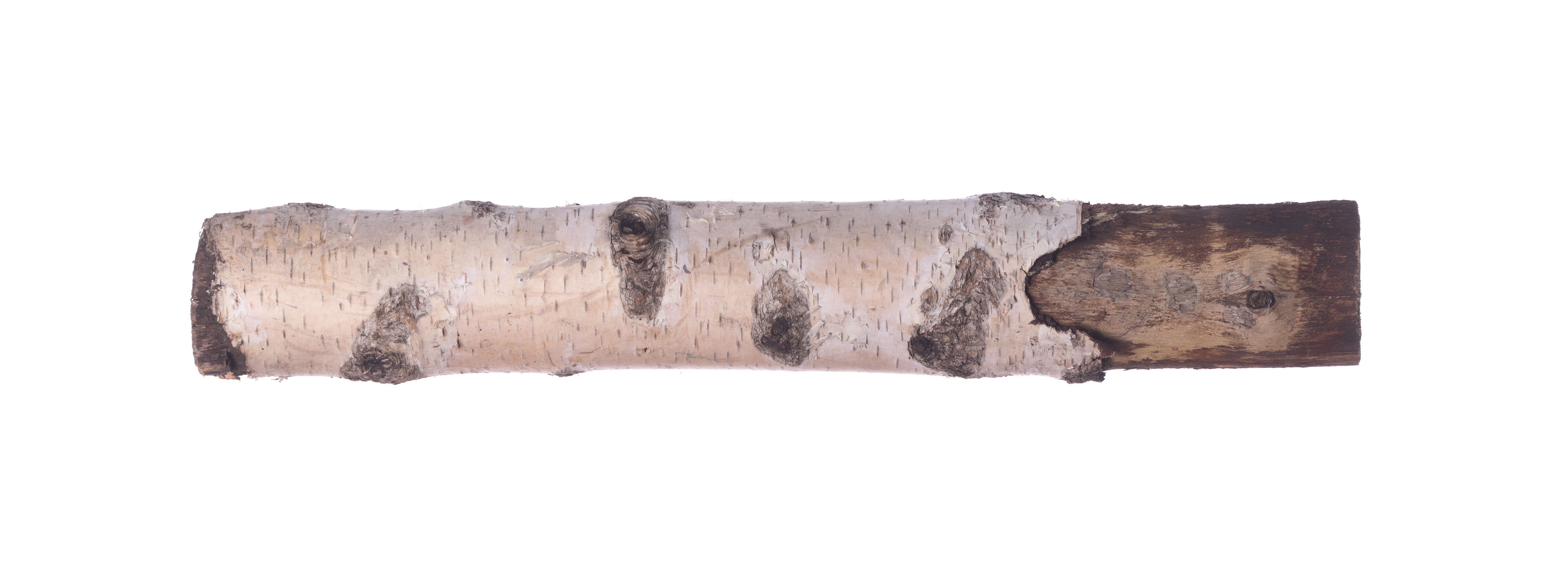 Bûches de bois sec – en filet ou en vrac
