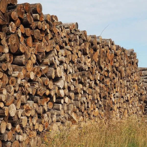 Bois en vrac livré en camion – sec ou à sécher