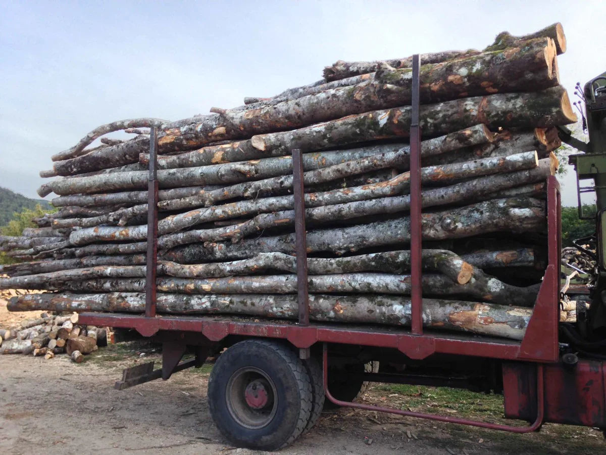Camion complet – bois de chauffage, grume ou granulés
