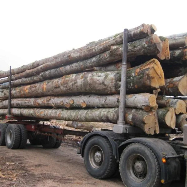 Camion complet – bois de chauffage, grume ou granulés