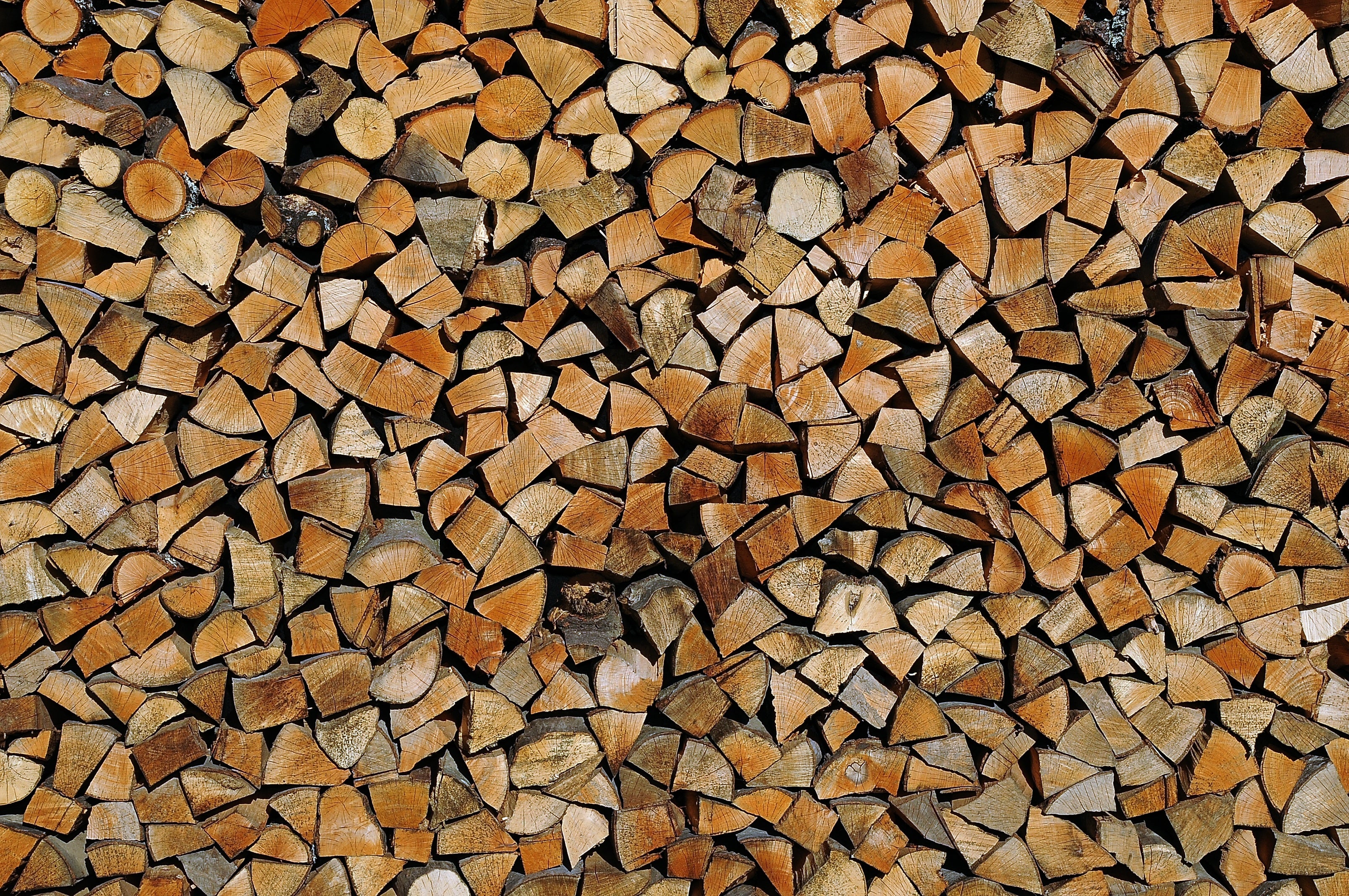 Bûches de bois sec – en filet ou en vrac
